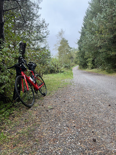 Photo from customer review