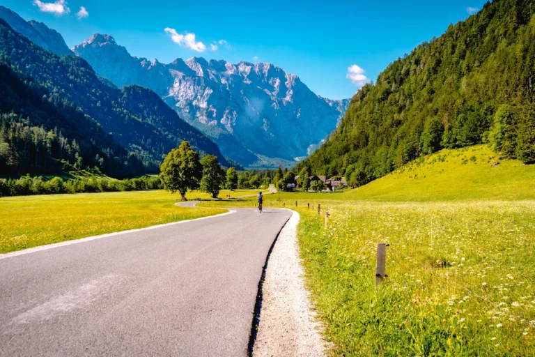 Sezona najema premium koles v Sloveniji: Zakaj je BikeExperienceLjubljana.si prva izbira za kolesarske navdušence z vsega sveta 🚴‍♂️