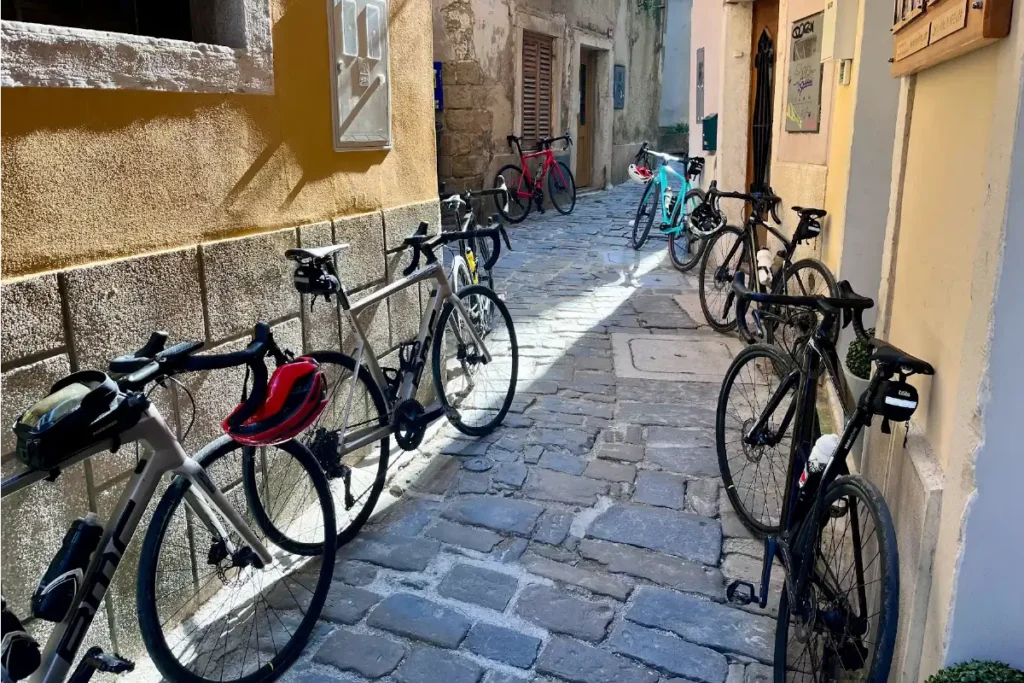 Premium road bike rental fleet in Ljubljana